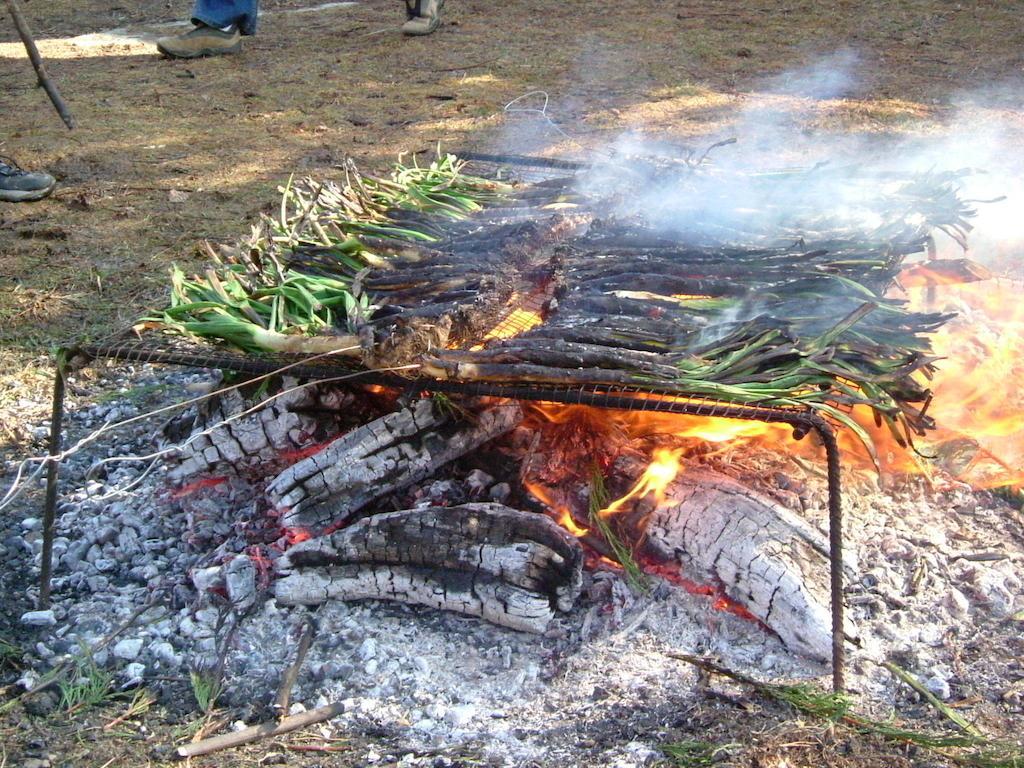 帕兰诺拉斯 Camping Can Fosses酒店 外观 照片